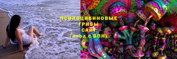 дмт Алексеевка