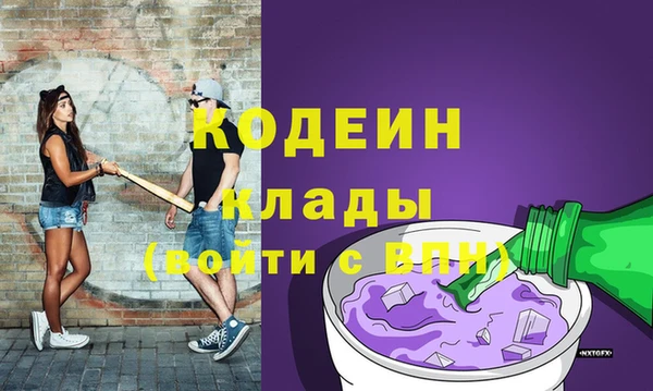 прущий лед Алзамай
