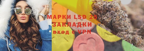 прущий лед Алзамай